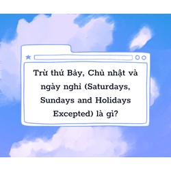 Trừ thứ Bảy, Chủ nhật và ngày nghỉ nghĩa là gì?