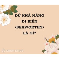 Đủ khả năng đi biển (Seaworthy) là gì ?