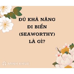Đủ khả năng đi biển (Seaworthy) là gì ?