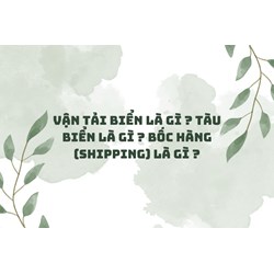 Vận tải biển là gì ? Tàu biển là gì ? Bốc hàng (Shipping) là gì ?