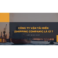 Công ty vận tải biển (Shipping company) là gì ?
