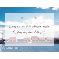 Công ty tàu biển chuyên tuyến (Shipping line) là gì ?