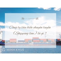 Công ty tàu biển chuyên tuyến (Shipping line) là gì ?