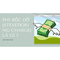 Phí bốc dỡ (Stevedoring charge) là gì ?