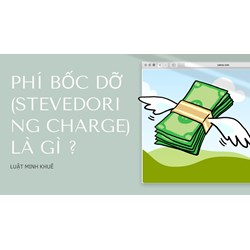 Phí bốc dỡ (Stevedoring charge) là gì ?