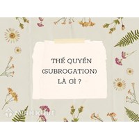 Thế quyền (Subrogation) là gì? Đặc trưng, vai trò của thế quyền