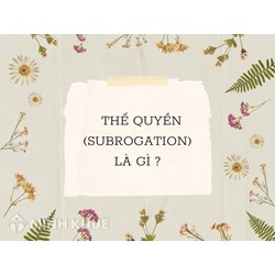 Thế quyền (Subrogation) là gì? Đặc trưng, vai trò của thế quyền