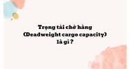 Trọng tải chở hàng (Deadweight cargo capacity) là gì ?