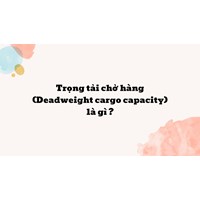 Trọng tải chở hàng (Deadweight cargo capacity) là gì ?