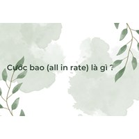 Cước bao là gì? All in rate nghĩa là gì?