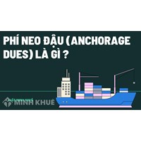 Phí neo đậu (anchorage dues) là gì ?