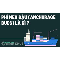 Phí neo đậu (anchorage dues) là gì ?