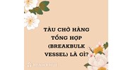 Tàu chở hàng tổng hợp (Breakbulk vessel) là gì ?