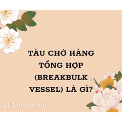 Tàu chở hàng tổng hợp (Breakbulk vessel) là gì ?