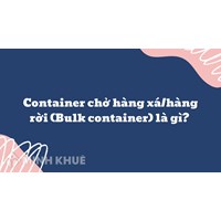 Container chở hàng xá/hàng rời (Bulk container) là gì ?