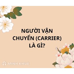 Người vận chuyển (Carrier) là gì ?