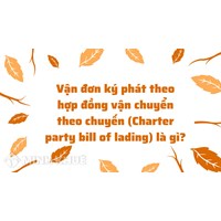 Vận đơn ký phát theo hợp đồng vận chuyển theo chuyến (Charter party bill of lading) là gì ?