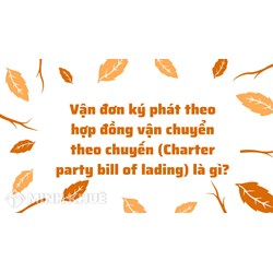 Vận đơn ký phát theo hợp đồng vận chuyển theo chuyến (Charter party bill of lading) là gì ?