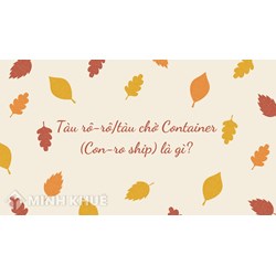 Tàu rô-rô/tàu chở Container (Con-ro ship) là gì ?