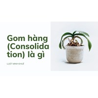 Gom hàng (Consolidation) là gì ?