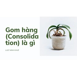 Gom hàng (Consolidation) là gì ?