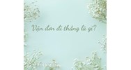 Vận đơn đi thẳng (Direct bill of lading) là gì?