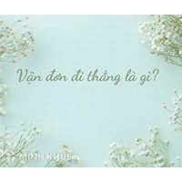 Vận đơn đi thẳng (Direct bill of lading) là gì?