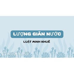 Lượng giãn nước (Displacement) là gì? Đặc điểm lượng giãn nước