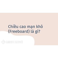 Chiều cao mạn khô (Freeboard) là gì ?