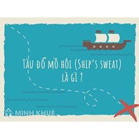 Tàu đổ mồ hôi (Ship’s sweat) là gì ?
