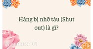 Hàng bị nhỡ tàu (Shut out) là gì ?