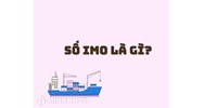 Số IMO (IMO ship identification number) là gì? Cấu trúc, ví trí số tàu IMO