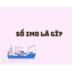 Số IMO (IMO ship identification number) là gì? Cấu trúc, ví trí số tàu IMO