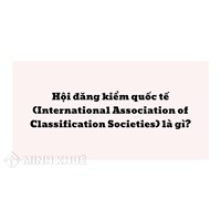 Hội đăng kiểm quốc tế (IACS) là gì? Vai trò IACS là gì?