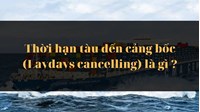 Thời hạn tàu đến cảng bốc (Laydays cancelling) là gì ?