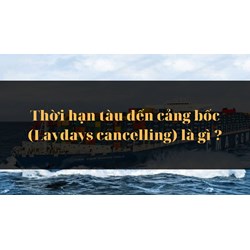 Thời hạn tàu đến cảng bốc (Laydays cancelling) là gì ?