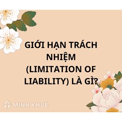 Giới hạn trách nhiệm (Limitation of liability) là gì ?