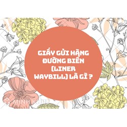 Giấy gửi hàng đường biển (Liner waybill) là gì ?