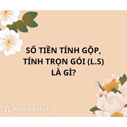Số tiền tính gộp, tính trọn gói (L.s.) là gì ?