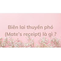 Biên lai thuyền phó (Mate’s receipt) là gì ?