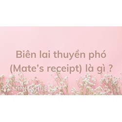 Biên lai thuyền phó (Mate’s receipt) là gì ?