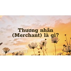 Thương nhân (Merchant) là gì ?