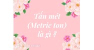 Tấn mét (Metric ton) là gì? Đặc điểm và công thức quy đổi tấn mét