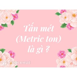 Tấn mét (Metric ton) là gì? Đặc điểm và công thức quy đổi tấn mét