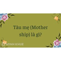 Tàu mẹ (Mother ship) là gì ?