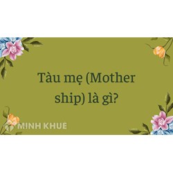 Tàu mẹ (Mother ship) là gì ?
