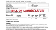 Vận đơn không chuyển nhượng được (Non-negotiable bill of lading) là gì ?