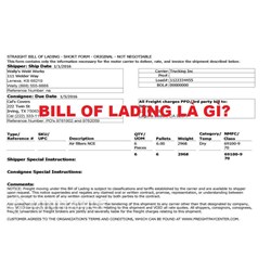 Vận đơn không chuyển nhượng được (Non-negotiable bill of lading) là gì ?