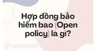 Hợp đồng bảo hiểm bao (Open policy) là gì ?