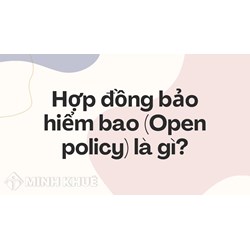 Hợp đồng bảo hiểm bao (Open policy) là gì ?